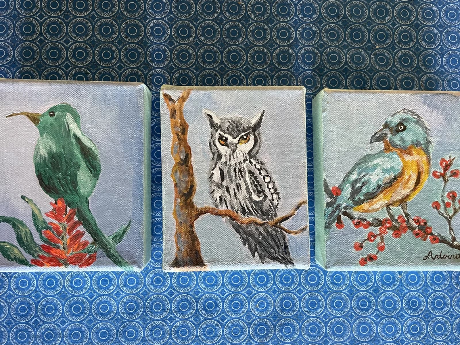 Set of three small paintings showing a green sunbird, spotted owl, and blue kingfisher