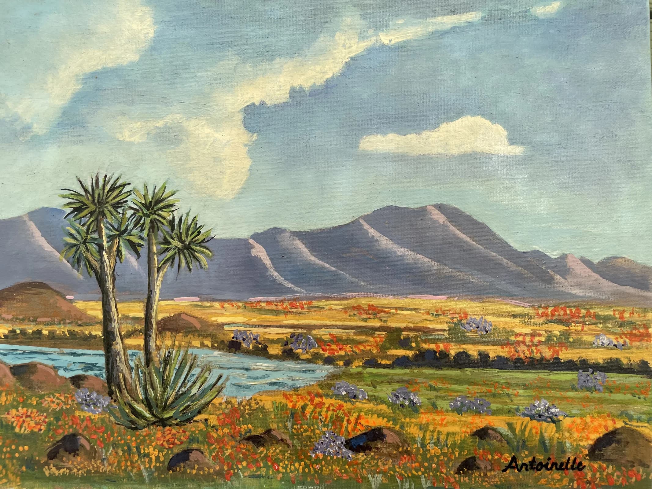 Namaqualand Bloom - Original painting by Antoinette Jordaan