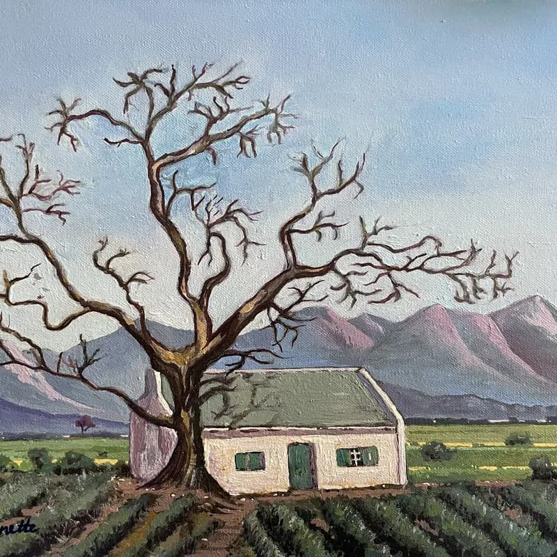 Painting of a cottage under a large bare oak tree in Franschhoek with vineyards and mountains