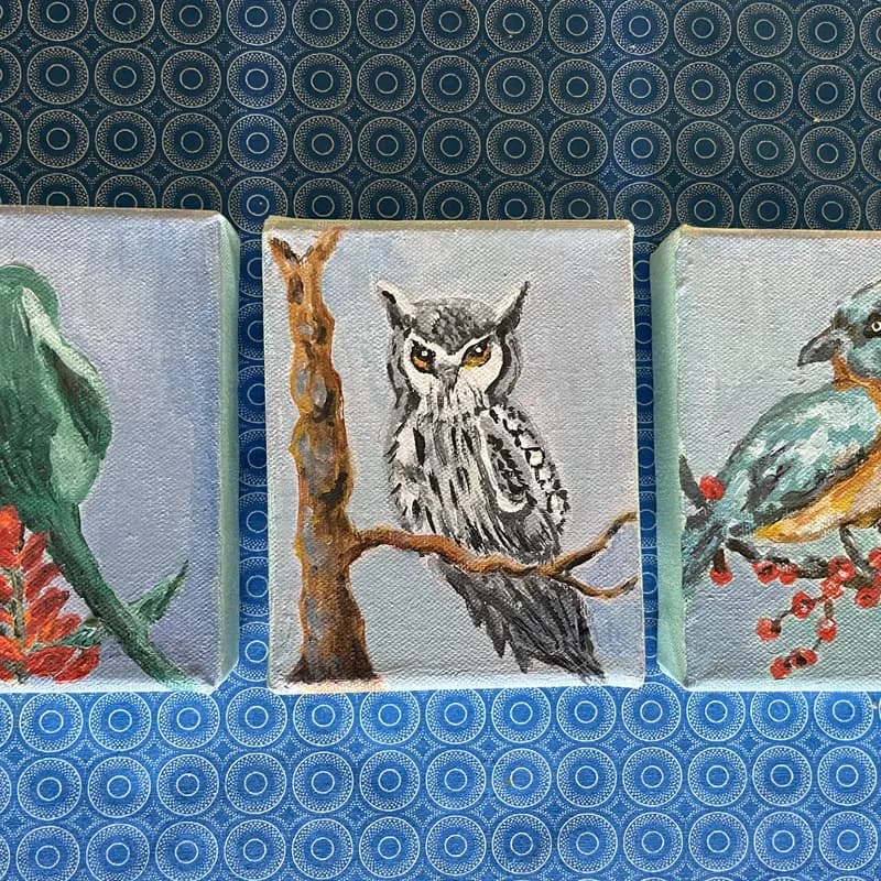 Set of three small paintings showing a green sunbird, spotted owl, and blue kingfisher