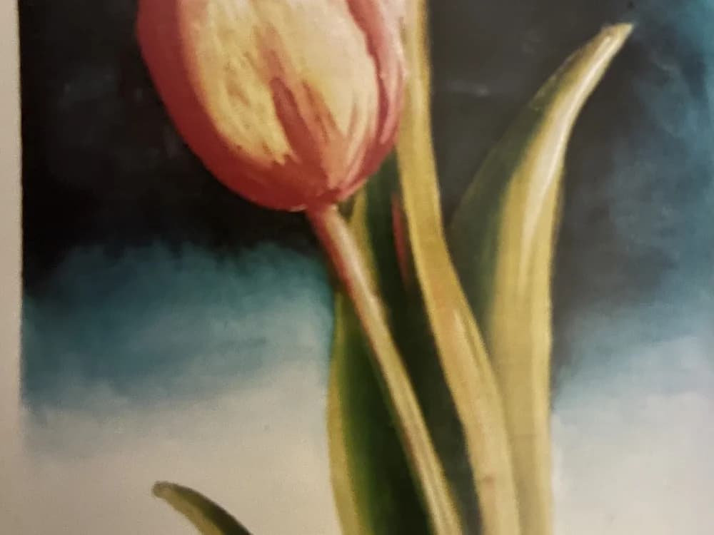 Oil painting of a single pink and cream tulip with green leaves against a blue-grey background